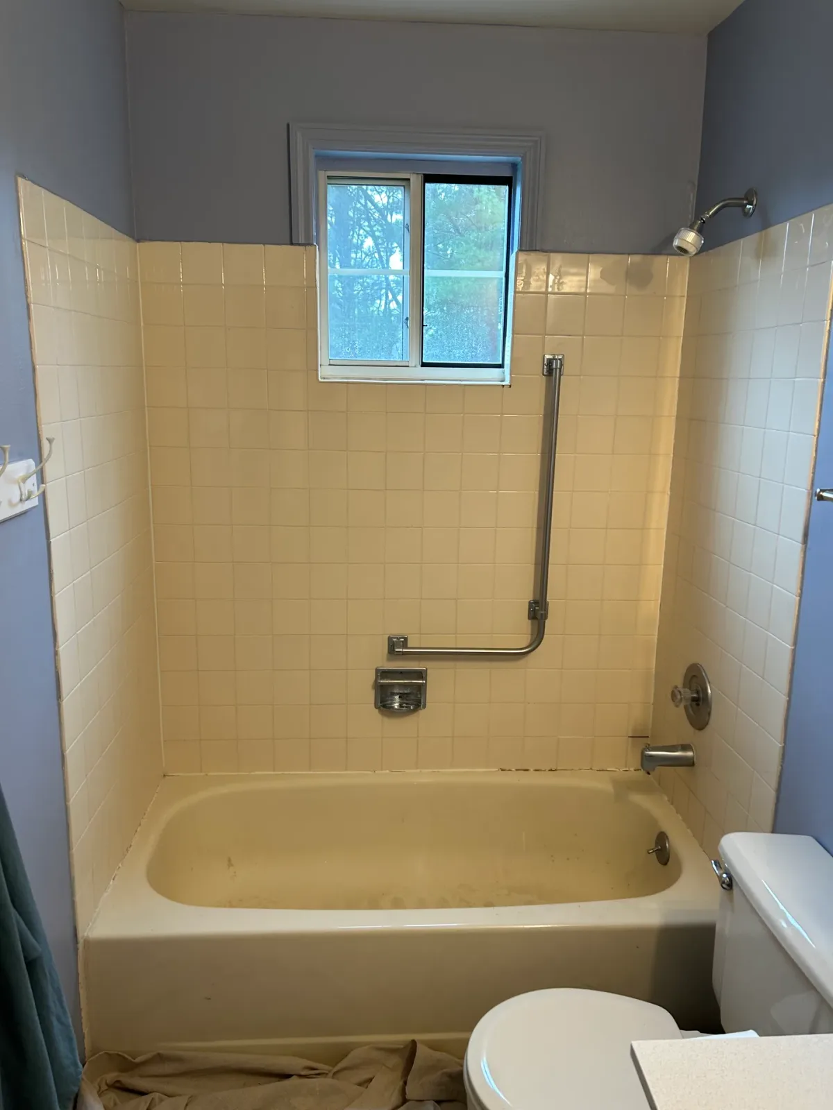 Custom Window Tub-to-Shower Conversion, before