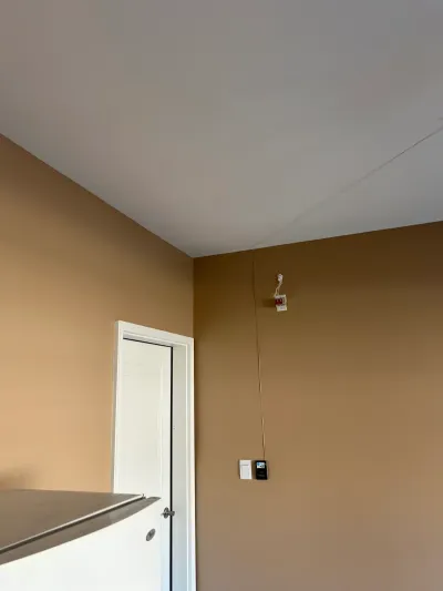Close-up of a wall corner with a hanging wire and a wall-mounted control panel near a white door.