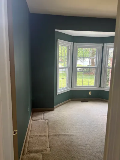 Empty room with dark teal walls, a bay window overlooking a yard, and beige carpet with a patched seam.