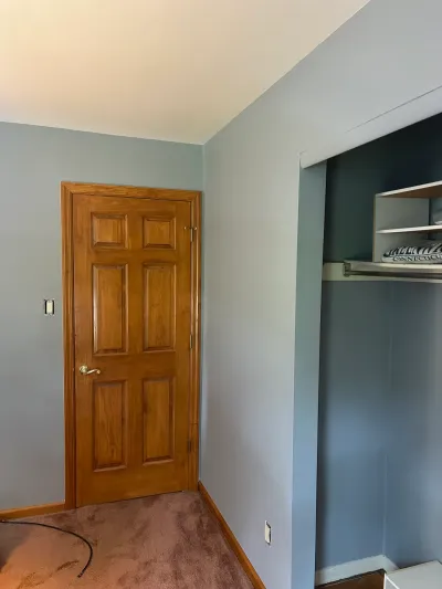 Bedroom corner with a wood paneled door and an open closet fitted with white shelving.
