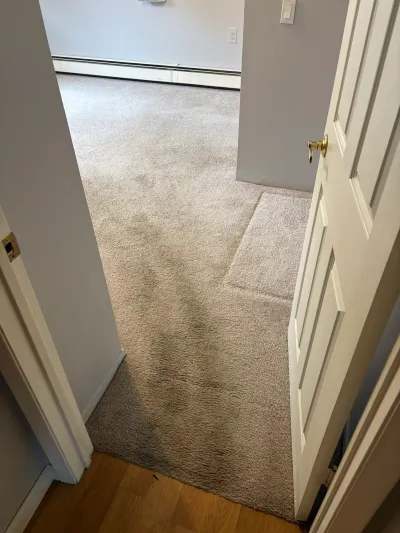 Worn and stained beige carpet in a bedroom seen through an open door from a hardwood hallway.