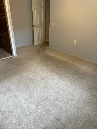 Empty bedroom with worn, stained carpet, an open six-panel door, and a wood-paneled closet.