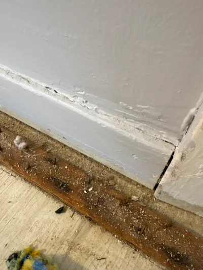 Close-up of a room corner with exposed carpet tack strip, nails, and debris after baseboard and flooring removal.