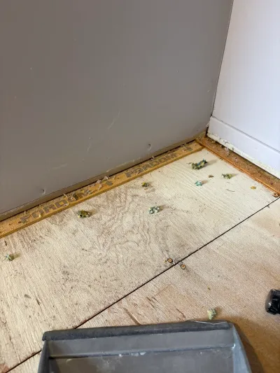 Close-up of a plywood subfloor with a carpet tack strip and padding debris after flooring removal.