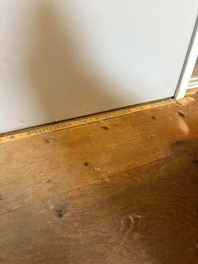 Close-up of an exposed plywood subfloor near a doorway with construction debris and unfinished trim.