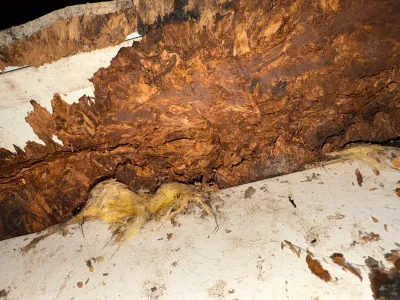 Close-up of water-damaged, crumbling OSB sheathing with exposed yellow insulation and dark staining.