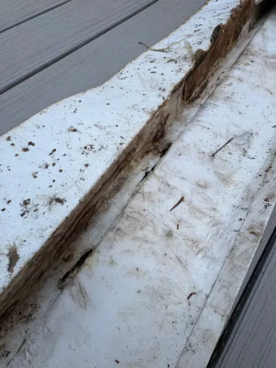 Close-up of a rotted, water-stained painted wood board next to composite decking.