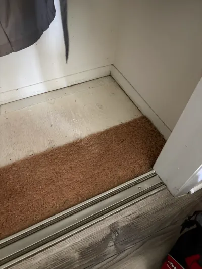 Worn tan carpet inside a closet meets painted subfloor and wood-look flooring at the doorway threshold.