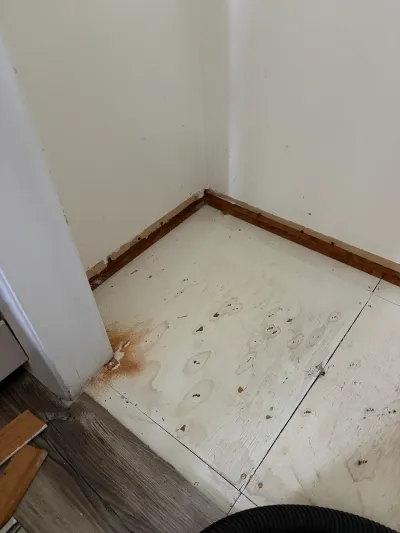 Closet subfloor exposed with rust staining after vinyl plank flooring removal during renovation.