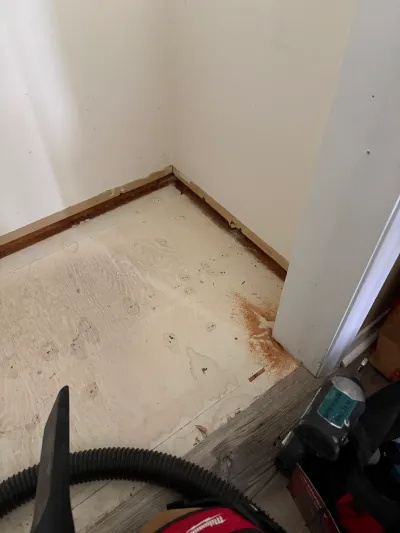 Exposed plywood subfloor with staining near a doorway during a flooring renovation, with tools nearby.