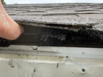 Close-up of a hand lifting a worn asphalt shingle to show staining and granule loss along the roof edge.