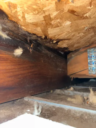 Crawlspace view showing water-stained, moldy subfloor and deteriorating OSB above wood joists.