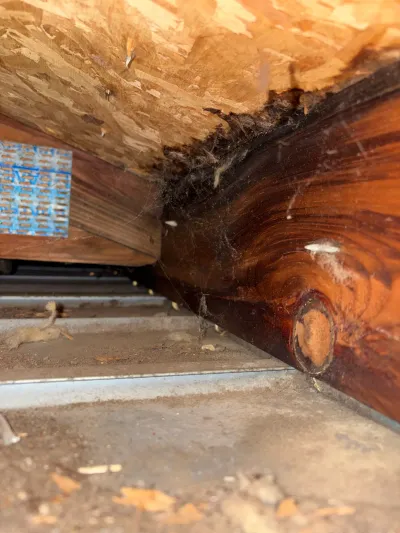 Close-up of a cobweb-covered wood joist and ductwork inside a dusty crawlspace.