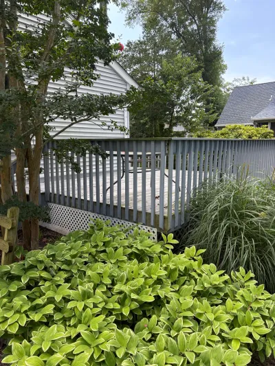 Weathered wood deck with grey railing seen behind overgrown hostas and ornamental grasses.