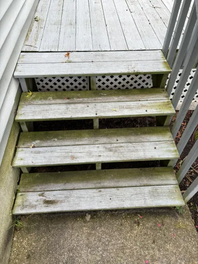 Weathered wood deck stairs with green algae staining leading down to a concrete patio.