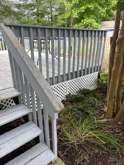 Weathered wood deck with peeling paint on the railing and lattice skirting overgrown with plants.
