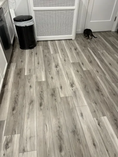 Kitchen with grey wood-look vinyl plank flooring, white cabinets, and a cat near the doorway.